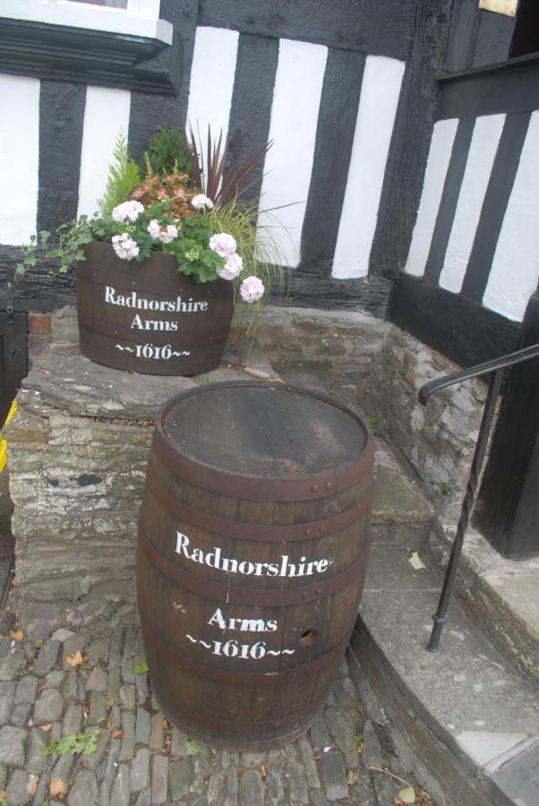 The Radnorshire Arms Hotel Presteigne Exteriör bild